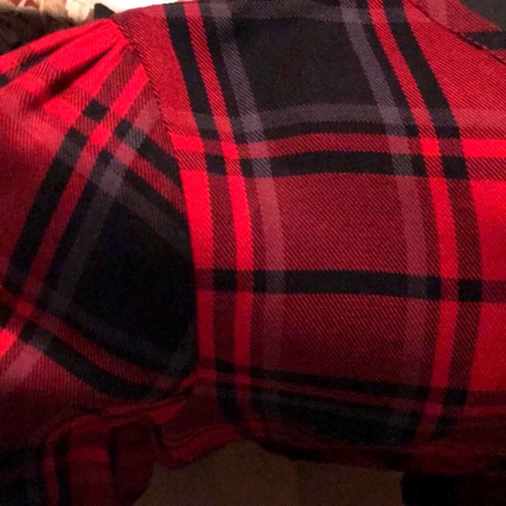 NWOT Soft, roomy, festive Workshop Republic blouse